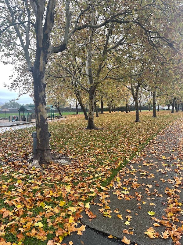 Matanzas Park - Image 1