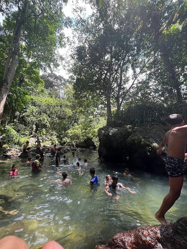 Jungle Pool @ Klang Gates Dam - Image 1