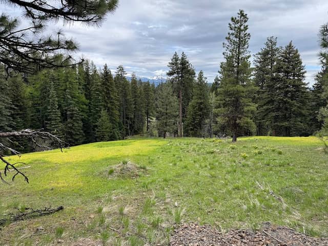 Ridgeline Trail - Image 3