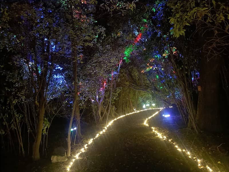 Illuminate Light and Sound Experience (Timaru) - Image 1