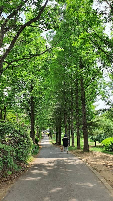 성호공원 - Image 2