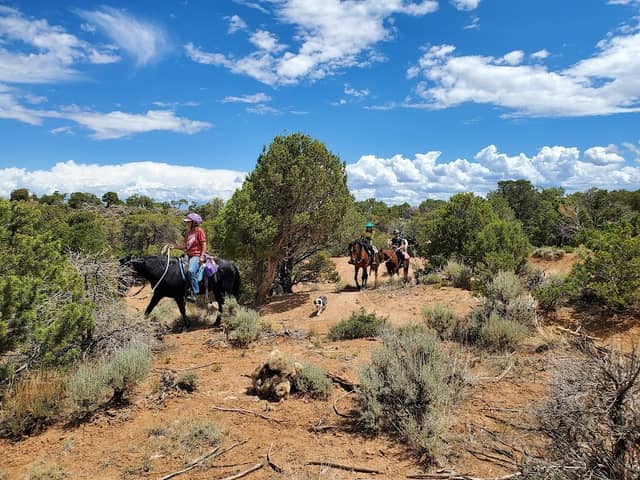Lower Spring Creek Canyon Trail - Image 2
