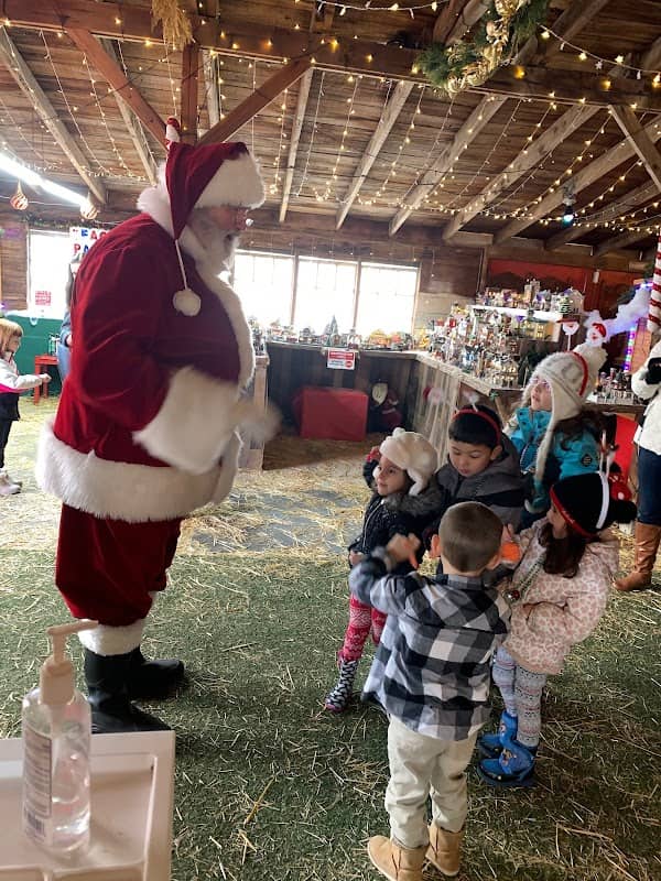 Forever Forest Christmas Experience - Image 1