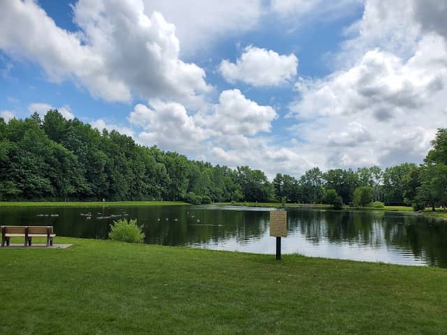 South Central Park - Image 2