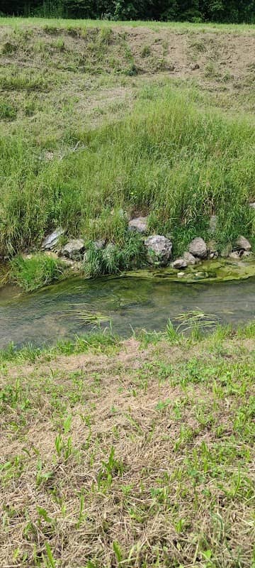 Dog Park - Image 1