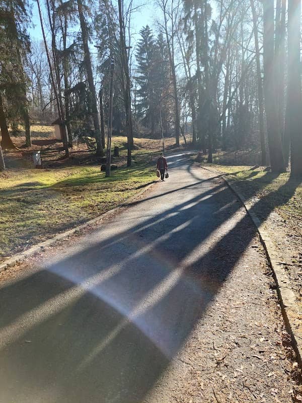 Csíky-garden Dendrological Park - Image 1