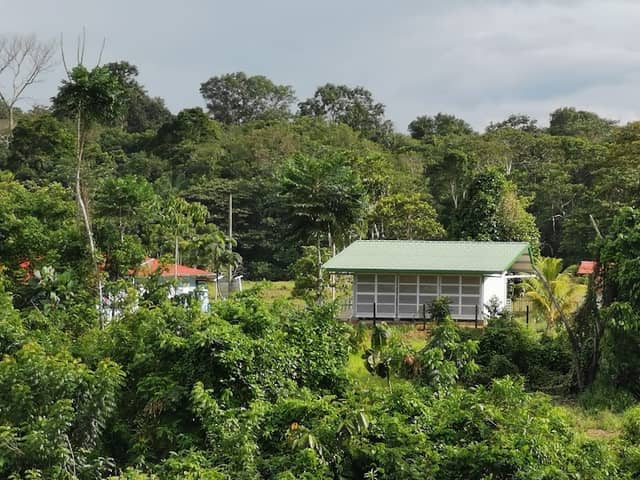 Mazuhuazu - Image 2
