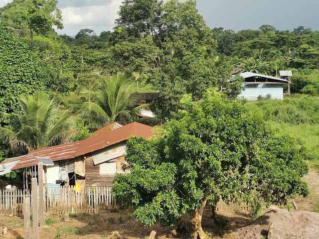 Mazuhuazu - Image 1