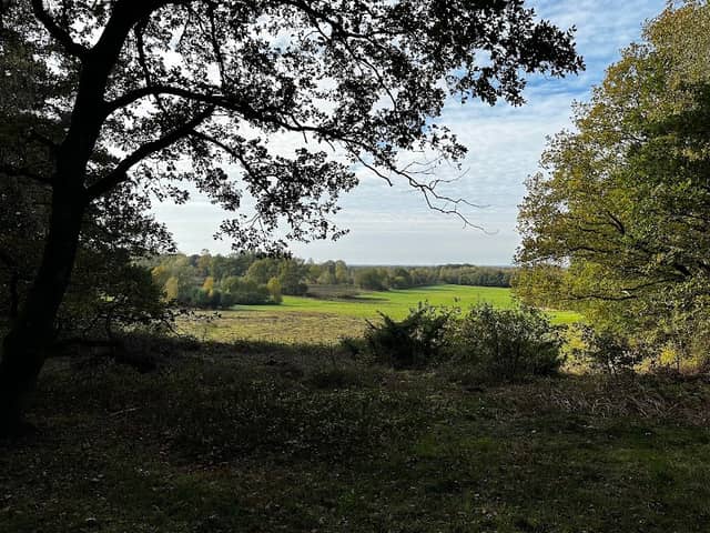 Het Mander Bos - Image 1
