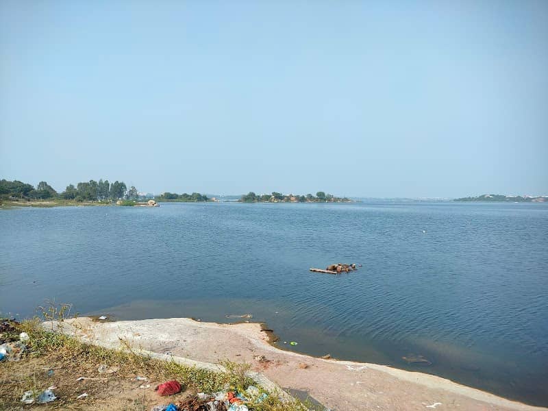 Shamirpet Lake view - Image 1