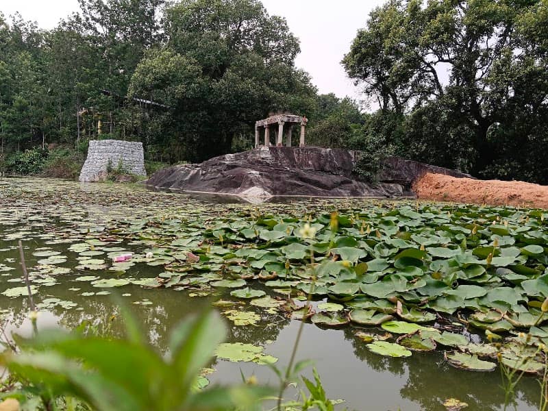 Vasudhaare Viewpoint, Vasthare - Image 1