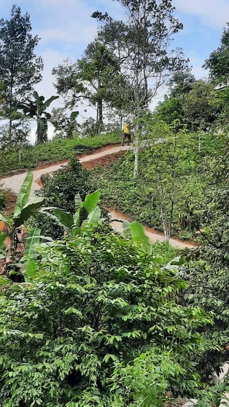 Pondok ladang armada - Image 1