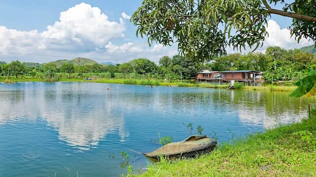 Rileyso Fish Ponds - Image 2