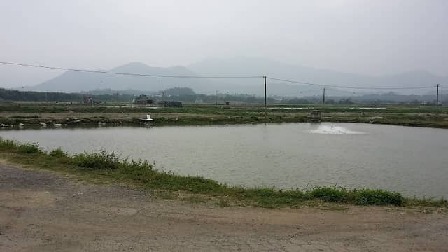 Rileyso Fish Ponds - Image 3