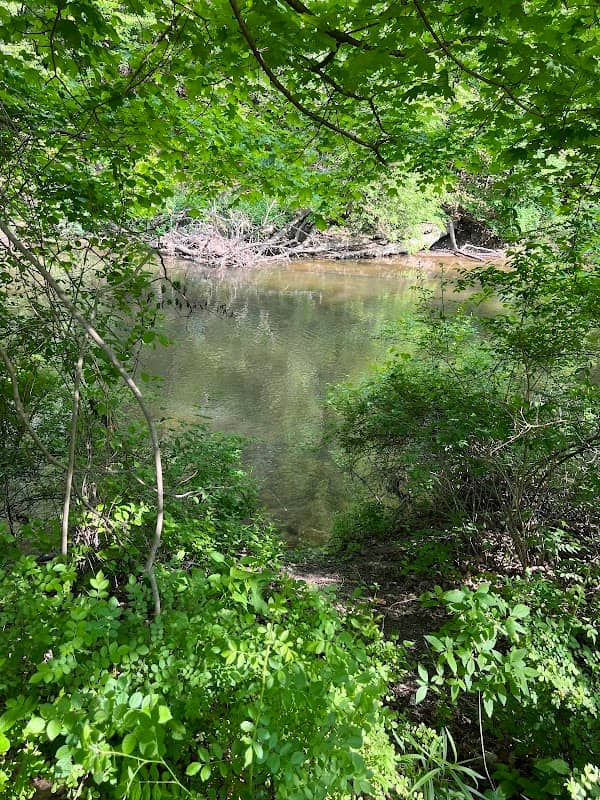 Berrien County Park - Image 2