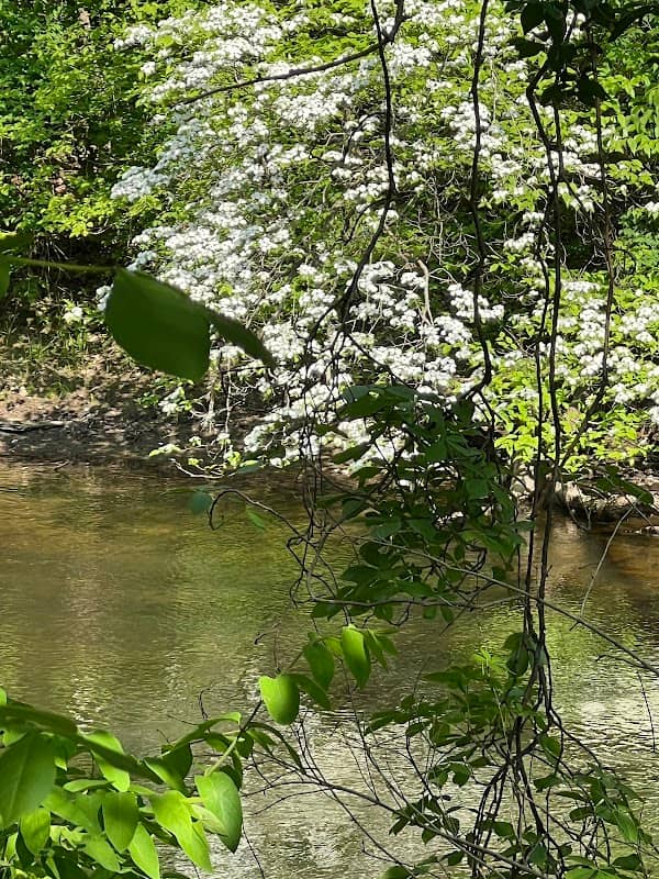 Berrien County Park - Image 1