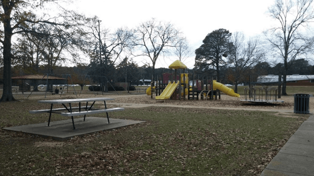 Davis Park - Image 1