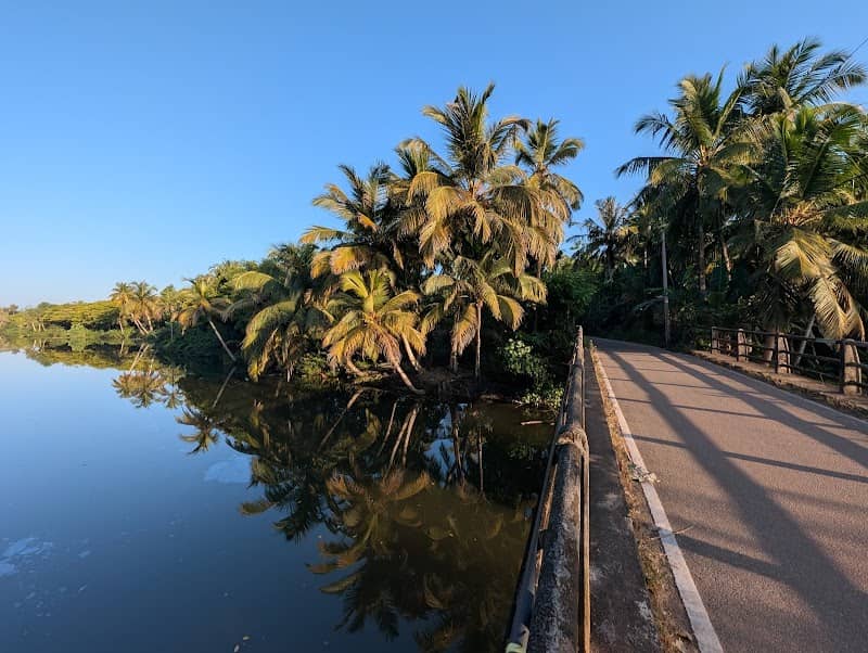 tropical bridge - Image 1