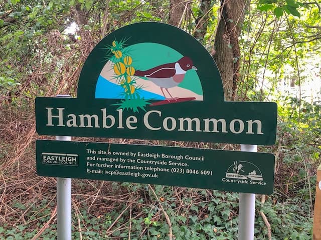 Hamble Common - Image 1