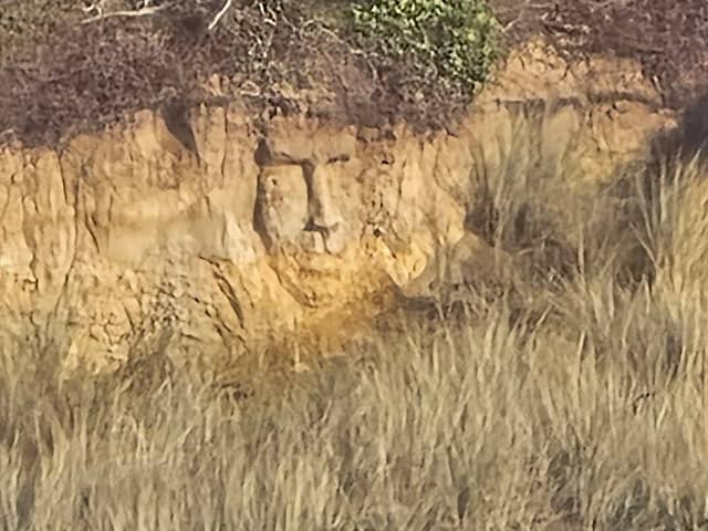 The Face in The Rock - Image 1