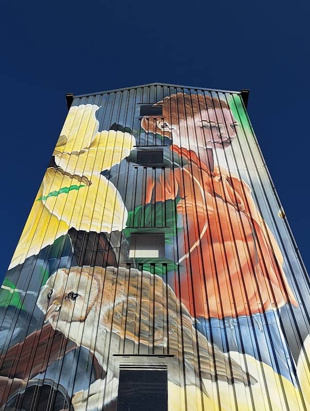 Silo Art Tour Achterhoek - Locatie Berkelland - Image 1