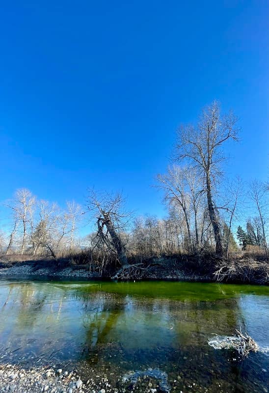 Bell Crossing River Access - Image 2
