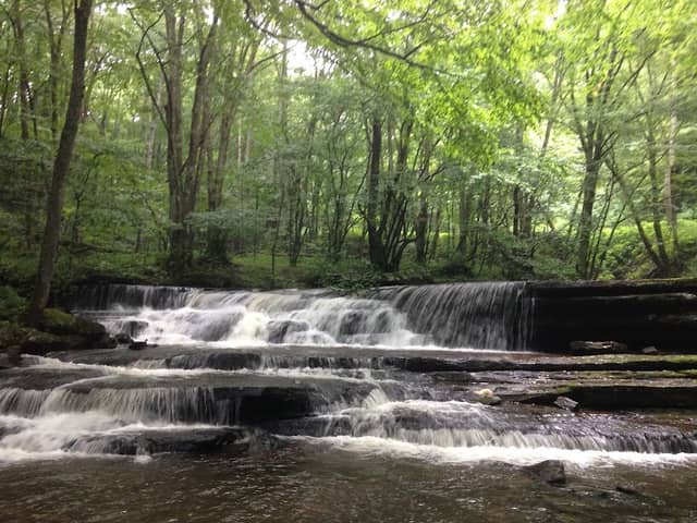 Clinch Mountain Wildlife Management Area - Image 1