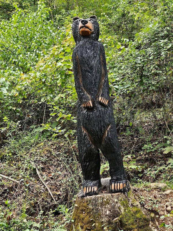 Black bear - Image 1