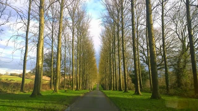 Umberslade Estate - Image 1