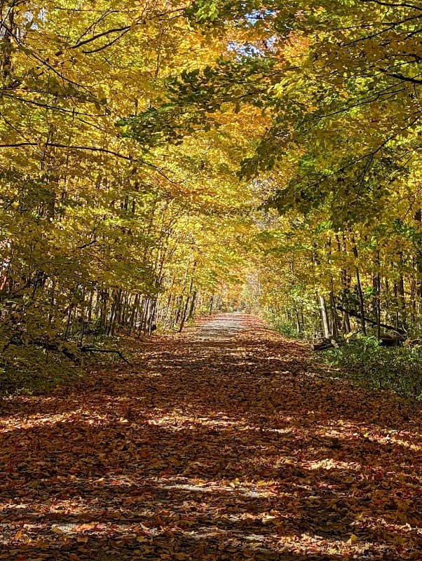 Trans-Canada Trail Start/End @ Veterans Drive/Highway 51 - Image 2