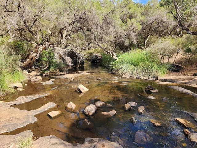 Roley Pool Reserve - Image 2