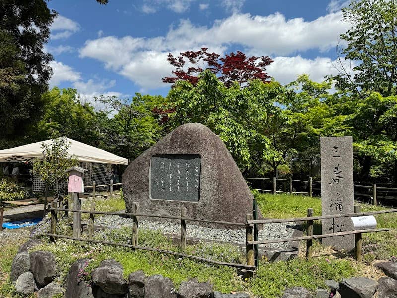 三春滝桜 - Image 1