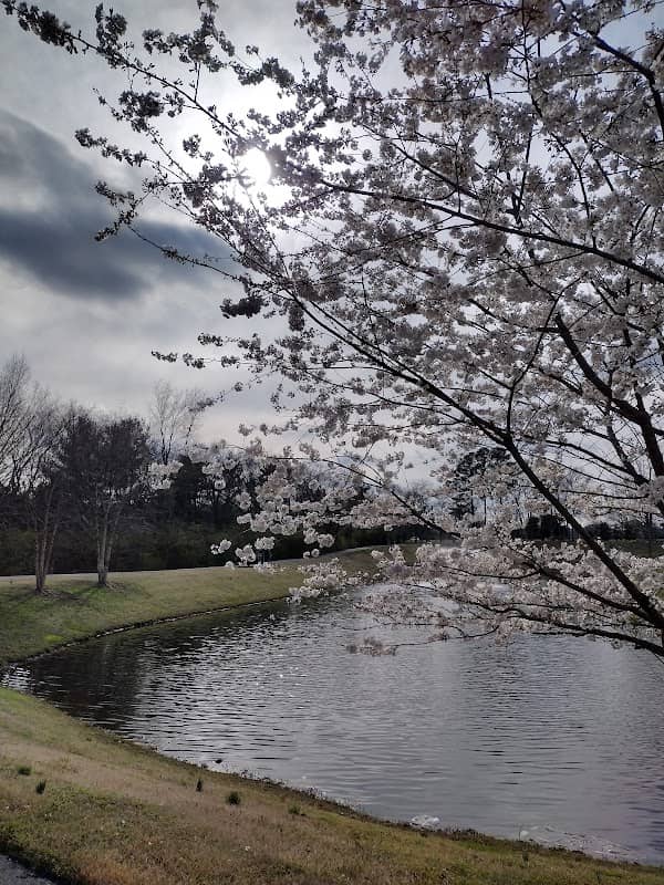 Margaret Hayes Powell Park - Image 2