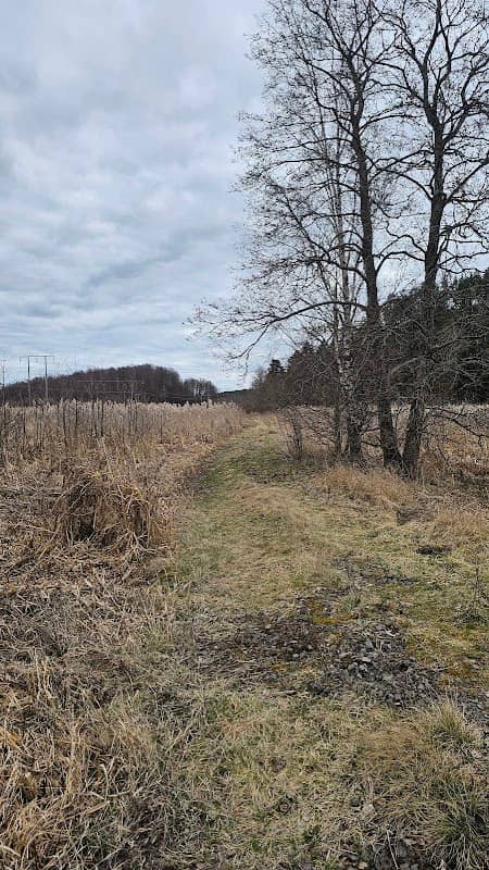 Svanvikens fågeltorn - Image 1