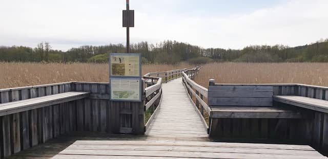 Svanvikens fågeltorn - Image 2