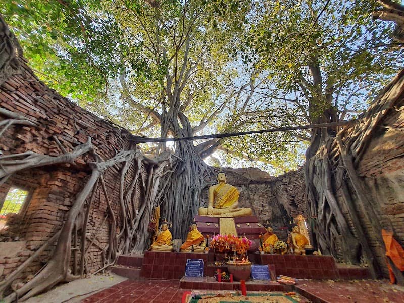 Wat Sai - Image 1