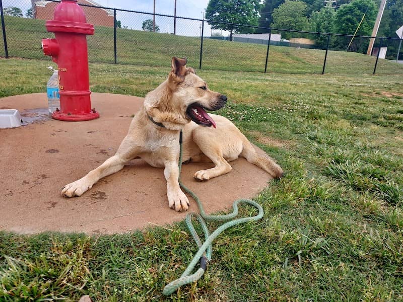 Trails to Tails Dog Park - Image 1