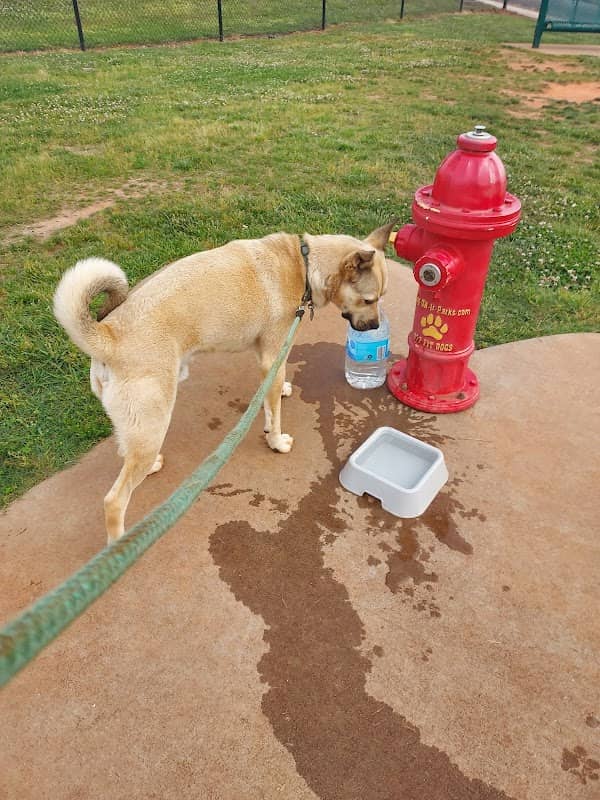 Trails to Tails Dog Park - Image 2