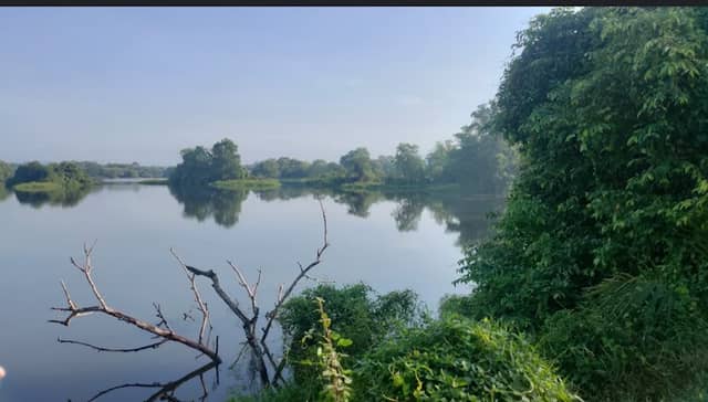 Tasik Mimpi - Image 1