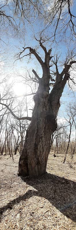 Campostella Park - Image 1