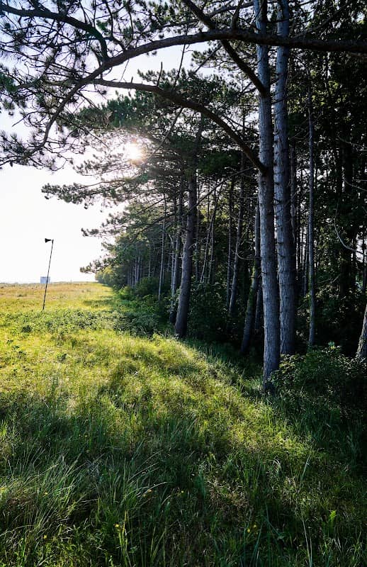 Dünenwald am Sportstrand - Image 1
