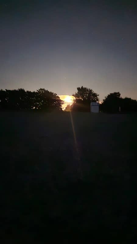 Dünenwald am Sportstrand - Image 3