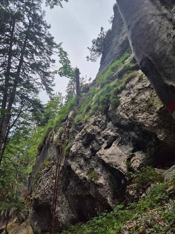 Leitersteig am Wanderweg - Image 1