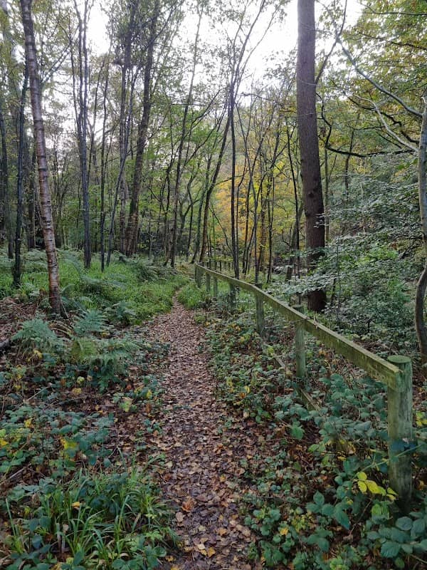 Pleasington Nature Reserve - Image 1