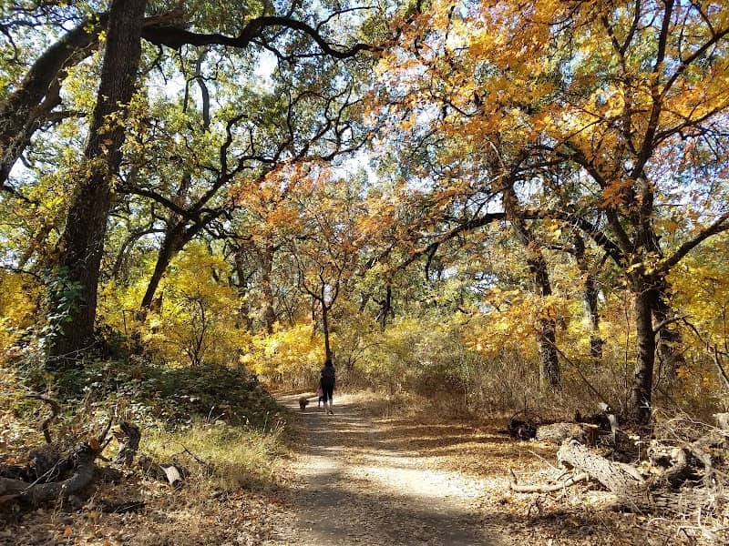 Lower Bidwell Park - Image 2