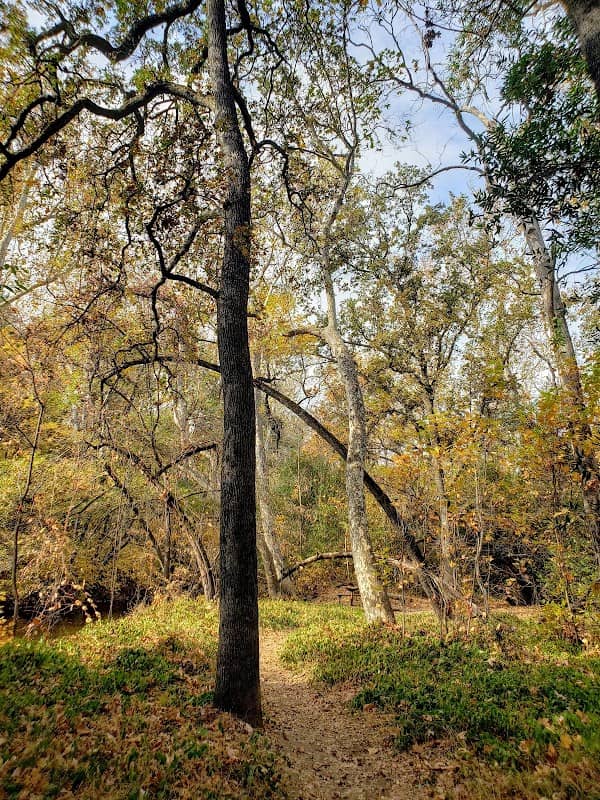 Lower Bidwell Park - Image 3