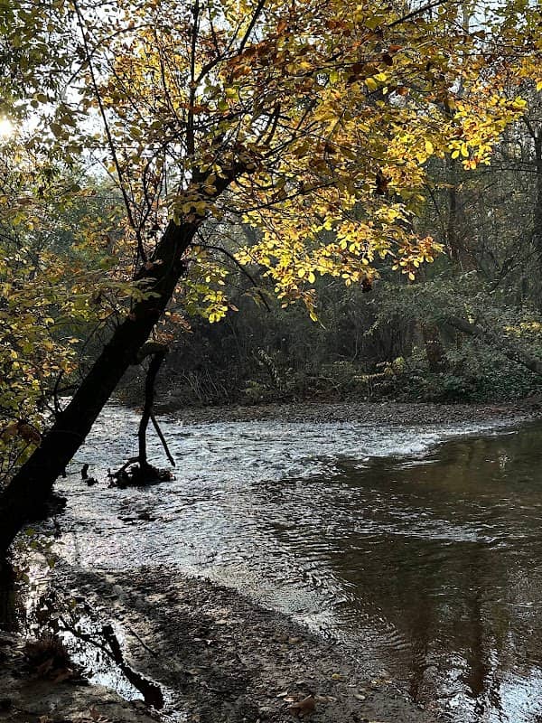 Lower Bidwell Park - Image 1