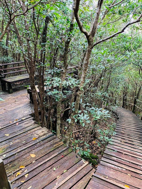 湯湾岳山頂展望台 - Image 1