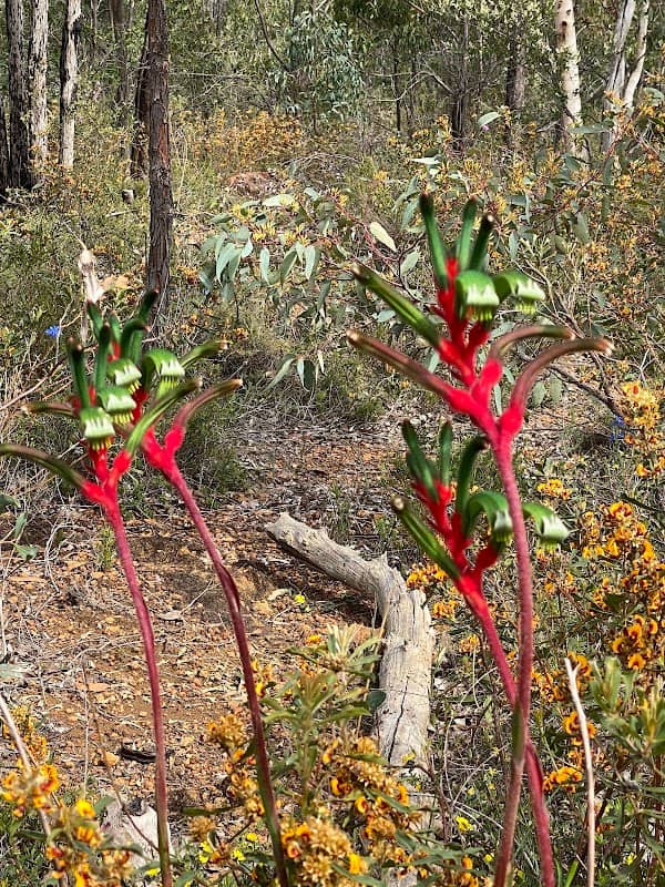 Eaglemont Park - Image 2