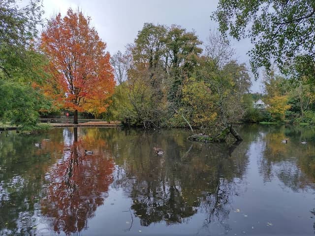 Bradbourne Lakes - Image 2